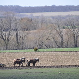 Wisconsinpic.medium