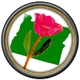 Oregonpinkrose-kickstarter.small