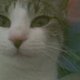 Fb_profile_picture.small