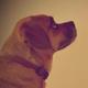 Fb_profile_picture.small