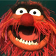 Animal-the-muppets.small