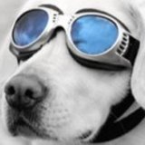 Fb_profile_picture.medium