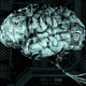 Computers_brain_by_guyingrey.small
