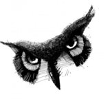 Owl.medium