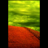 Calero_1w_frame.medium