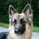 4720558521_9f05a329f8_b.small