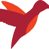 Ap_bug_c_web.medium