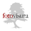 Fv%20logo_tree.large_thumb