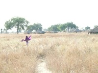 Photo-little