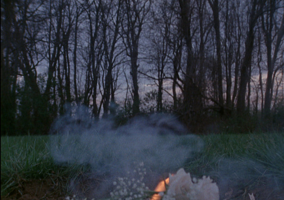 Image-117982-full
