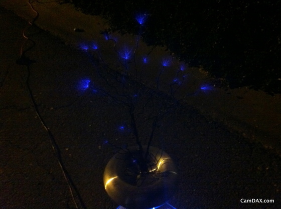 Image-107499-full