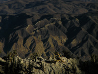 Photo-little