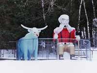 Photo-little