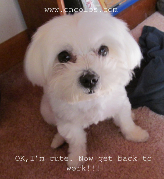 Image-117481-full