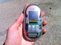 Photo-little