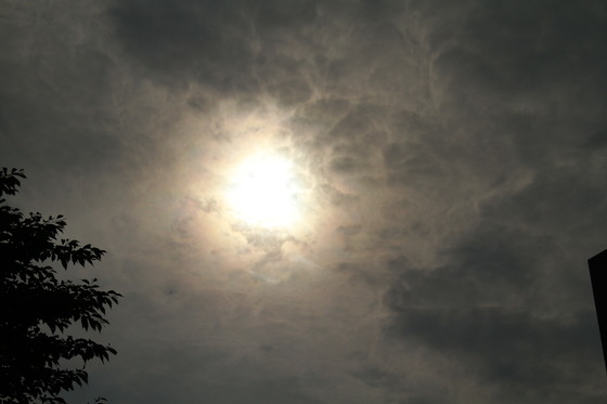 Image-119006-full