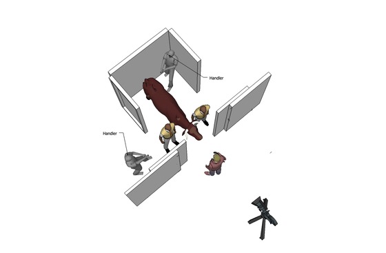 Image-119507-full