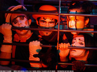 Photo-little