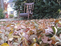 Photo-little