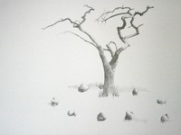 Photo-little