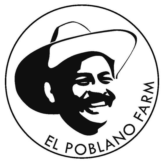 Image-144724-full