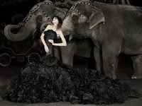 Photo-little