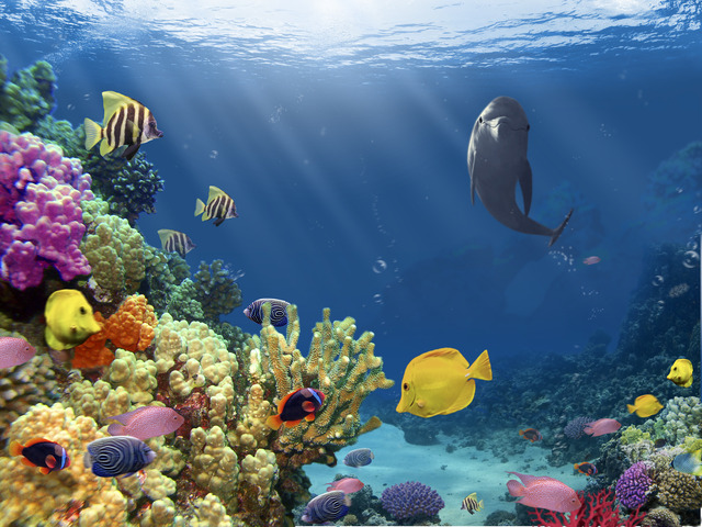 The Big Blue, an underwater adventure game's video poster