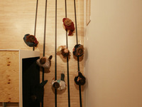 Photo-little