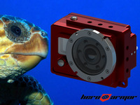 Photo-little
