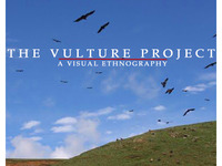 Photo-little
