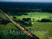 Photo-little