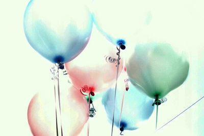 Image-130128-full