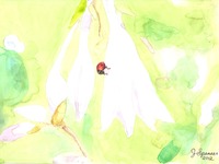 Photo-little