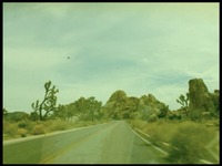Photo-little
