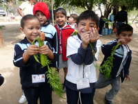 Photo-little