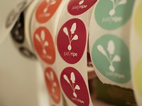Photo-little
