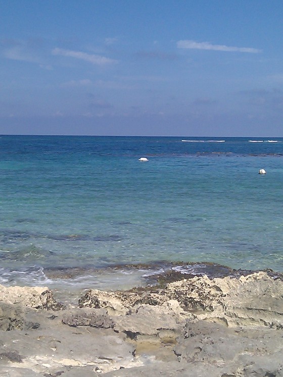 Image-53736-full