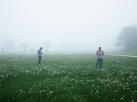 Photo-little