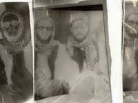 Photo-little
