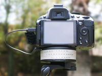 Photo-little