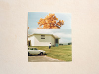 Photo-little