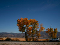 Photo-little