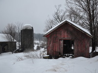 Photo-little
