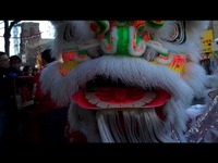 Photo-little