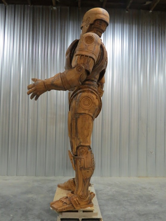 Image-256098-full