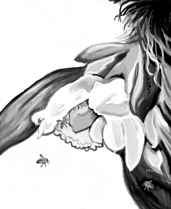 Image-91616-full