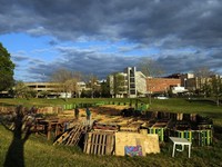 Photo-little