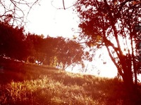 Photo-little
