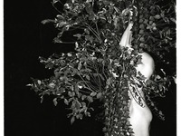 Photo-little