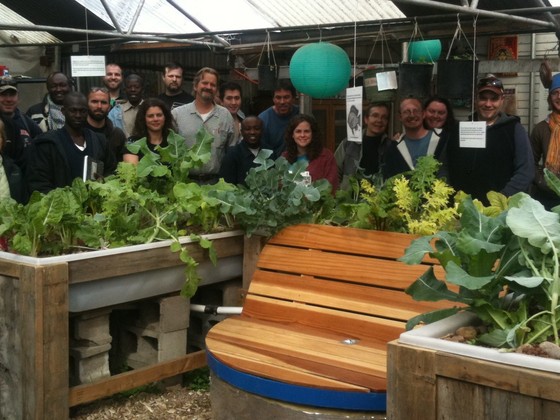 commercial aquaponics